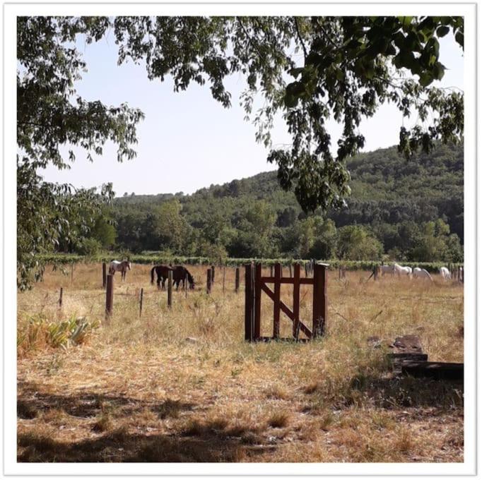 Charming Small House Close To Uzes Foissac  Bagian luar foto